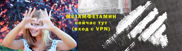 гидра Горняк