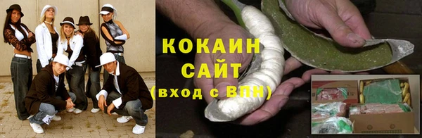 гидра Горняк