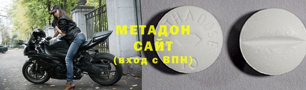 гидра Горняк