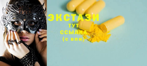 гидра Горняк