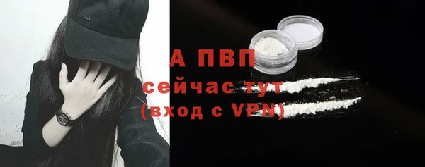 гидра Горняк