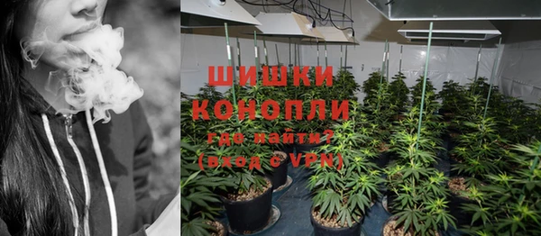 гидра Горняк