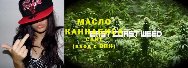 гидра Горняк