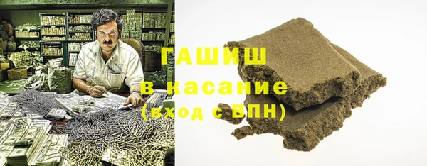 гидра Горняк