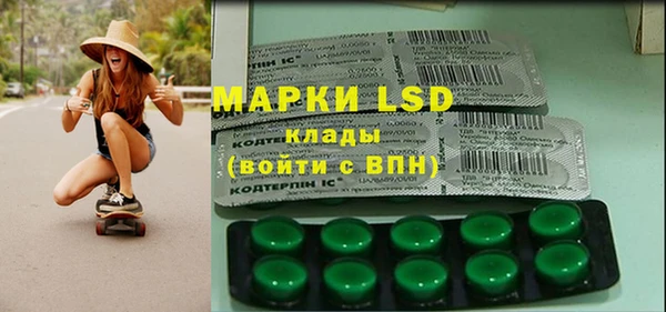 гидра Горняк